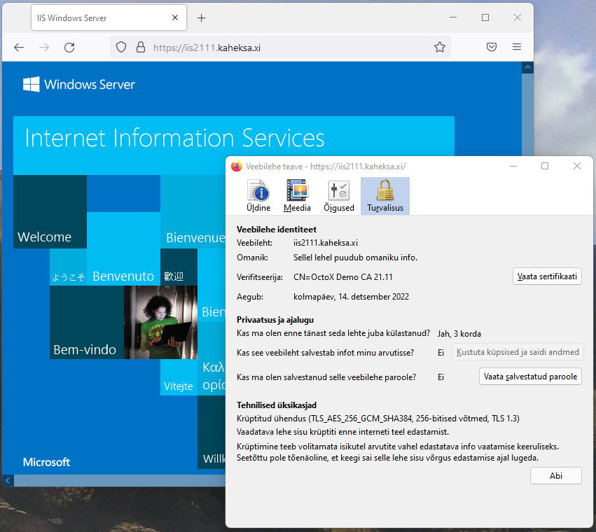 One-way SSL works with TLS 1.3 protocol, browser is Firefox